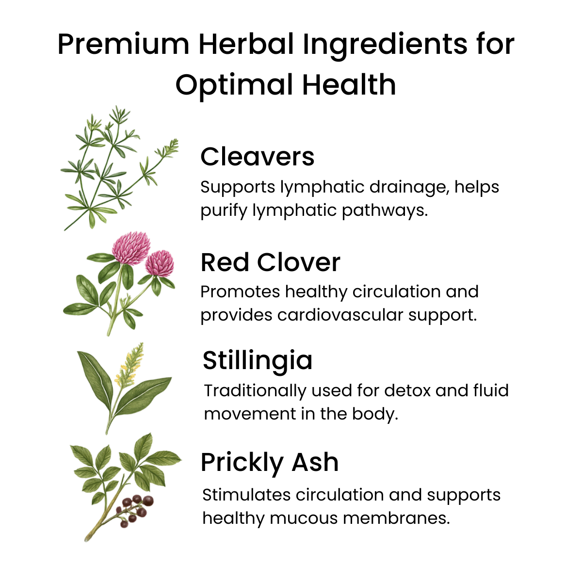 PureFlux – Lymphatic Drainage Herbal Supplement